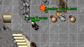Tylan Taron on screen