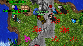 Zachow on screen