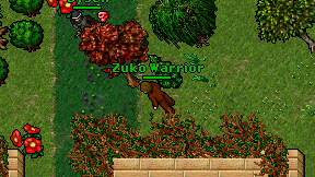 Zuko Warrior on screen