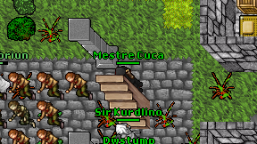 Mestre Cuca on screen