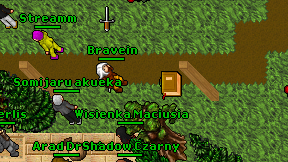 Bravein on screen
