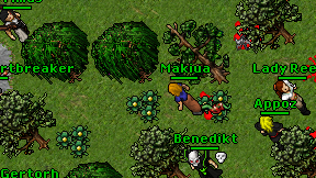 Makiua on screen