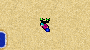 Liros on screen