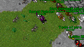 Royal fighter on screen