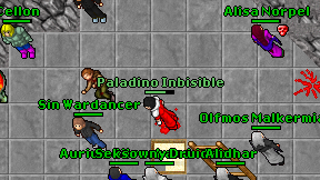 Paladino Inbisible on screen