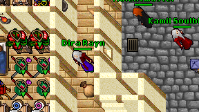 Dira Rayn on screen