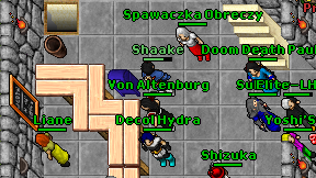 Shaake on screen
