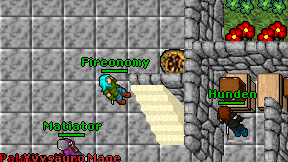 Fireonomy on screen