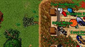Elite'Wiien on screen