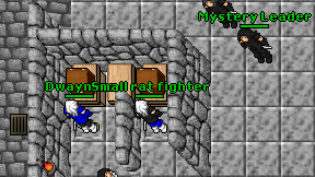 Small rat fighter on screen