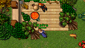 Kafra on screen