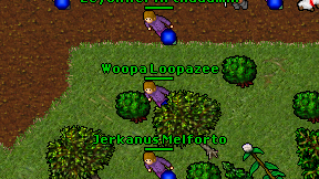 Woopa Loopazee on screen