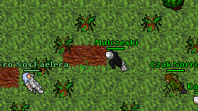 Malczeski on screen