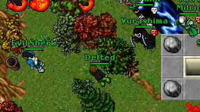 Delted on screen