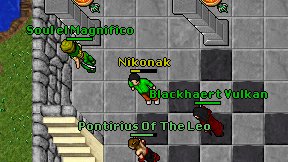Nikonak on screen