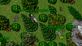 Error of Dragon on screen