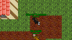 Shrui'kaninn on screen
