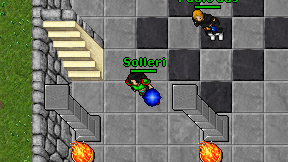 Solleri on screen