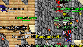 Druid Force on screen