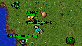 Dragon daora on screen