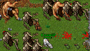Kaamiil on screen
