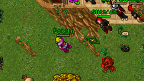 Fokito on screen