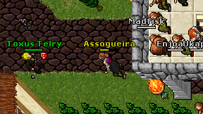 Assogueira on screen