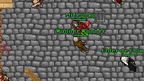 Wonner Wonner on screen
