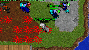 Fiddemano on screen