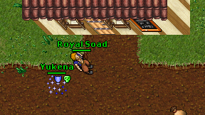Royal Soad on screen