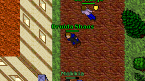 Druida Shaos on screen