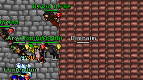 Dimraim on screen