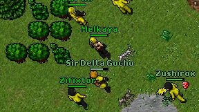 Melkaya on screen