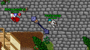 Nelzonp on screen