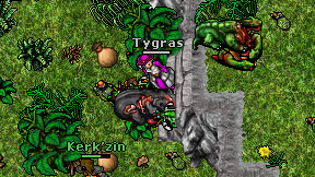 Tygras on screen