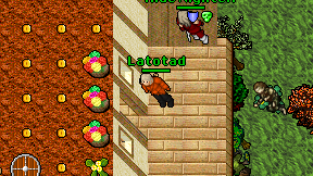 Latotad on screen