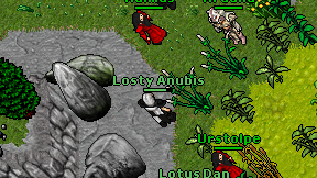 Losty Anubis on screen