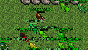 Oblivian Knight on screen