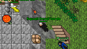 Squall Devil'lords on screen
