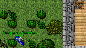Dragons-Destiny on screen