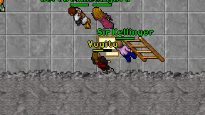 Vogito on screen
