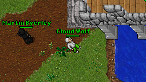 Cloud Wolf on screen