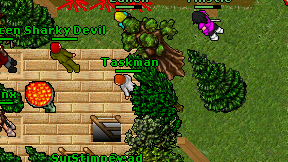 Taskman on screen