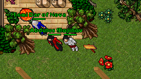 Bojinov on screen