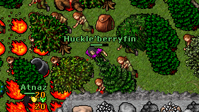 Huckle'berryfin on screen