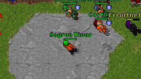 Sagron Winus on screen
