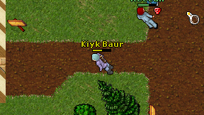 Kiyk Baur on screen