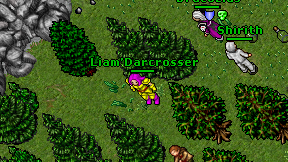 Liam'Darcrosser on screen