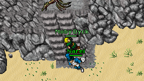 Moby Dyck on screen
