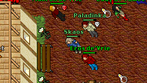 Skaos on screen